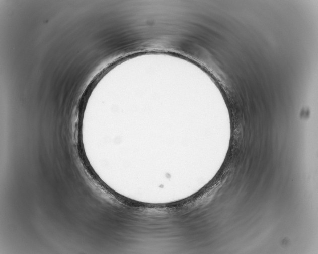 X0000099231126200805221830