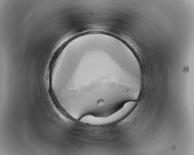 X0000099231127200805221830