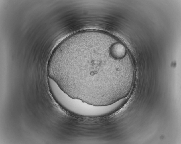 X0000099231129200805221830