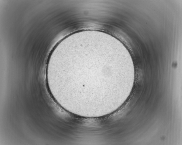 X0000099231130200805221830