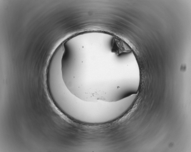 X0000099231134200805221830