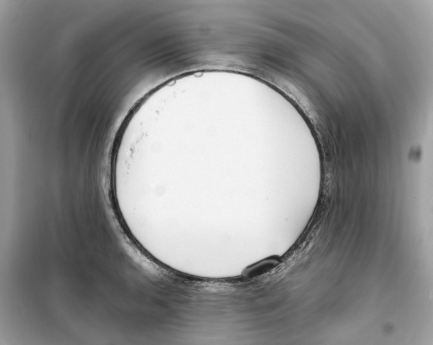 X0000099231136200805221830