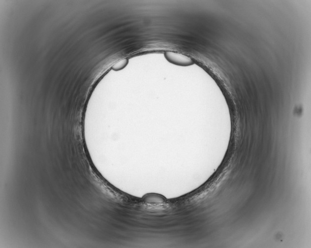 X0000099231137200805221830