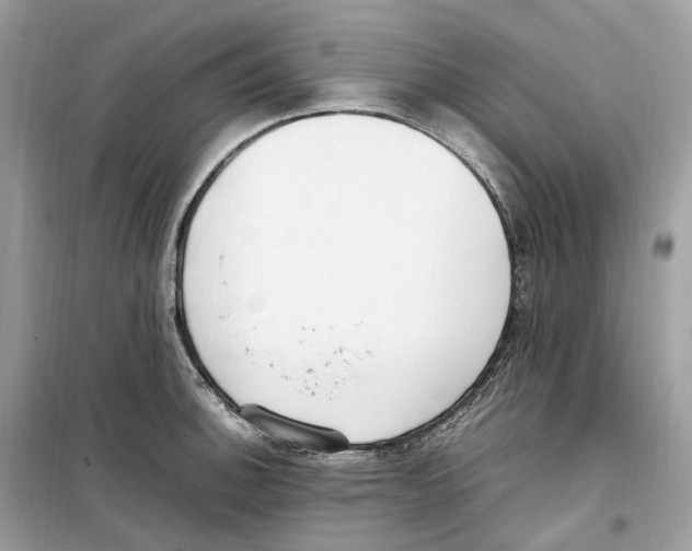 X0000099231140200805221830