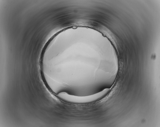 X0000099231141200805221830