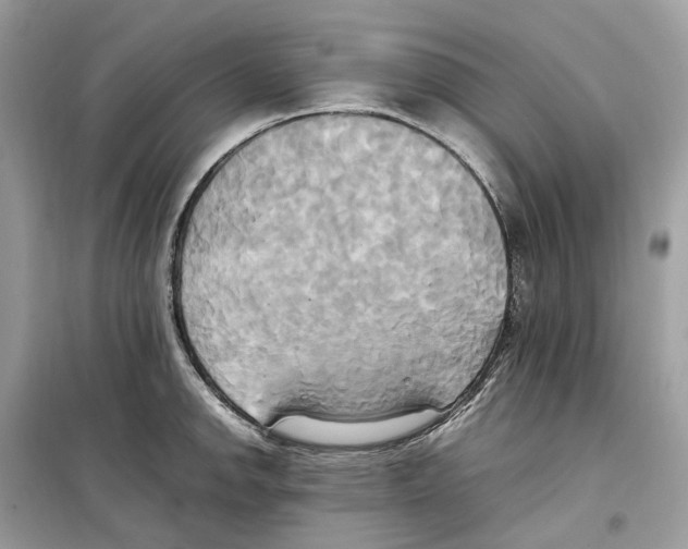 X0000099231142200805221830