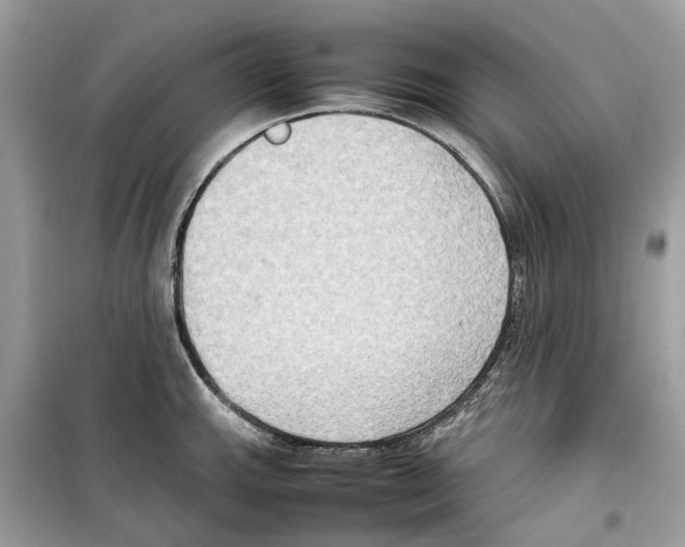 X0000099231143200805221830