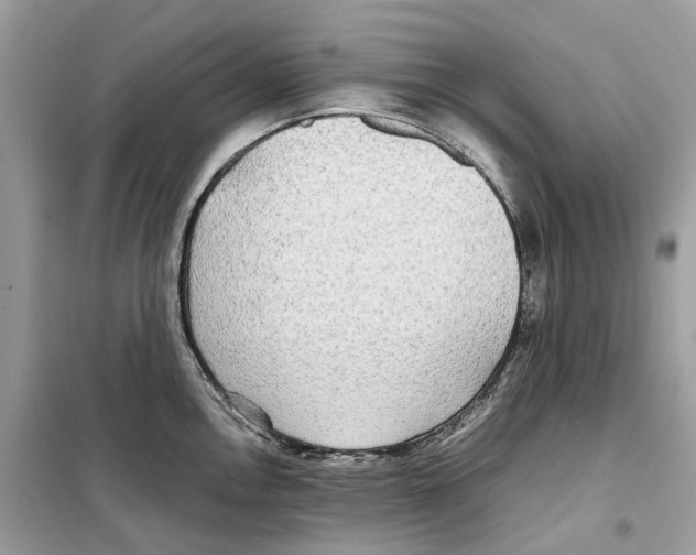 X0000099231146200805221830