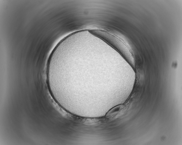 X0000099231148200805221830