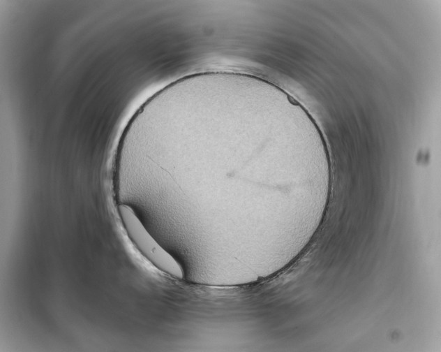 X0000099231152200805221830