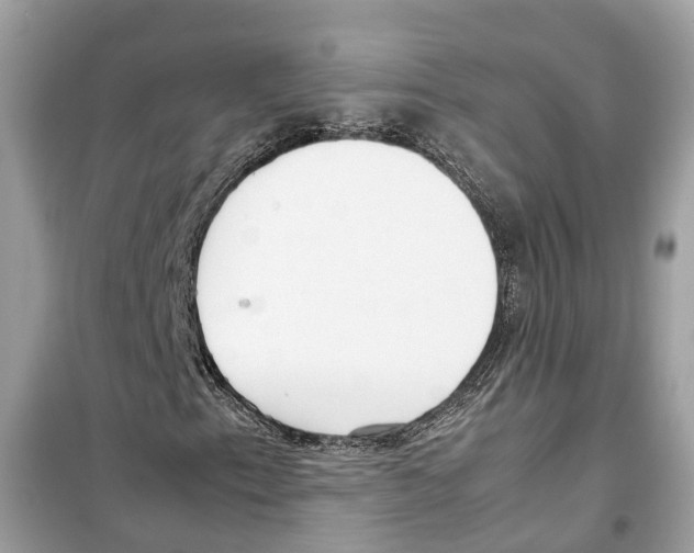 X0000099231153200805221830