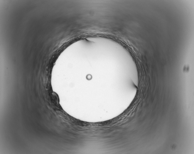 X0000099231157200805221830