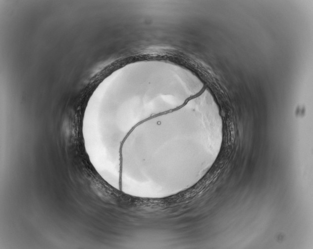 X0000099231158200805221830