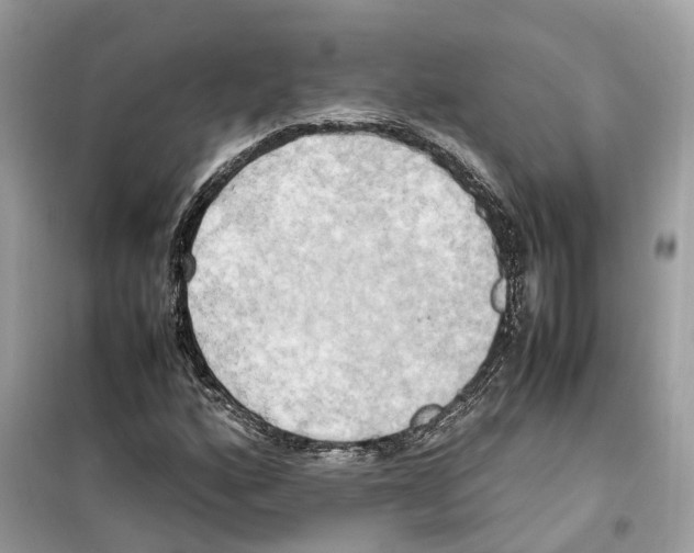 X0000099231160200805221830