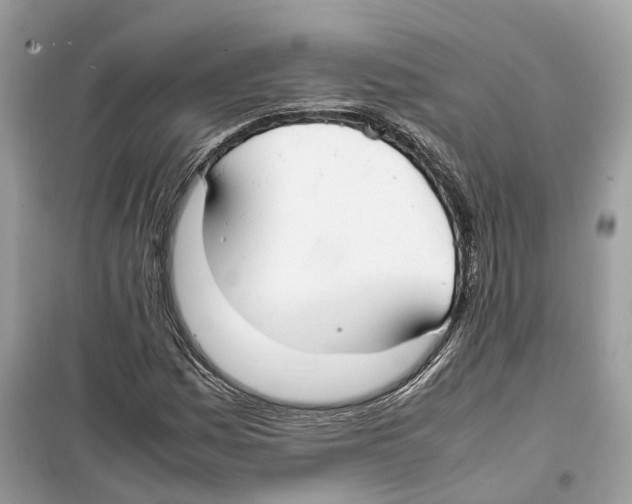 X0000099231161200805221830