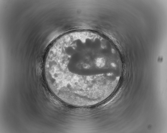 X0000099231163200805221830