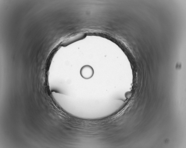 X0000099231165200805221830