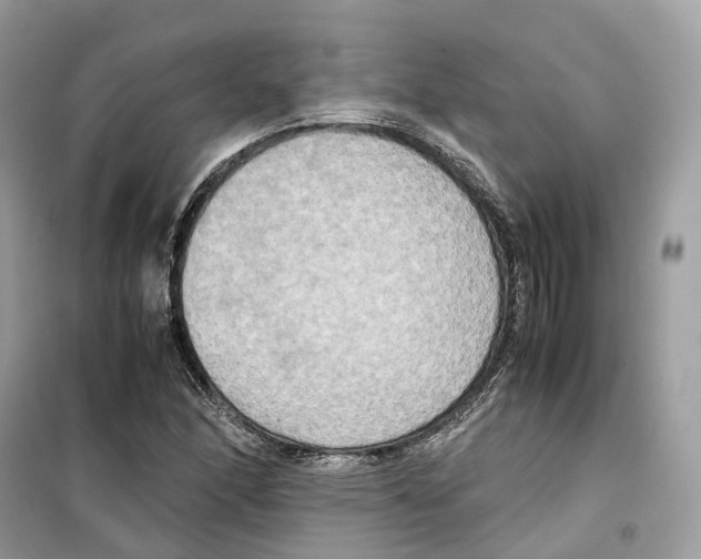 X0000099231166200805221830