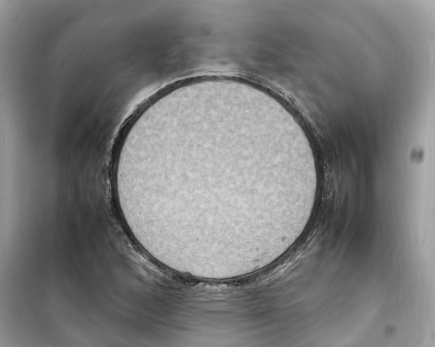 X0000099231168200805221830