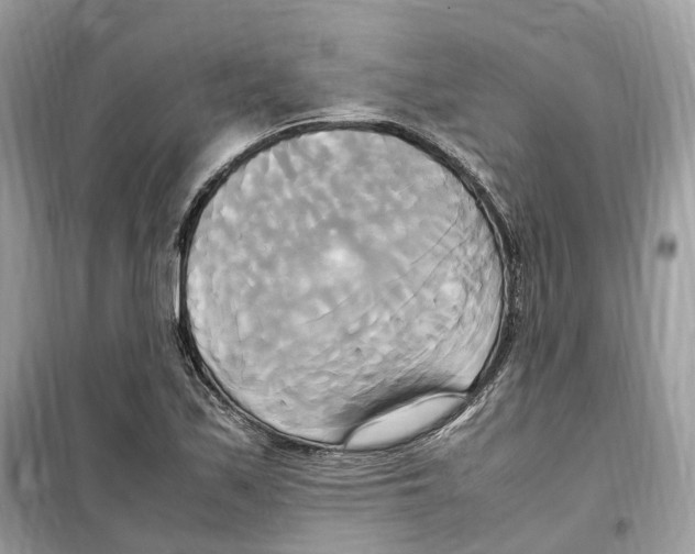 X0000099231171200805221829