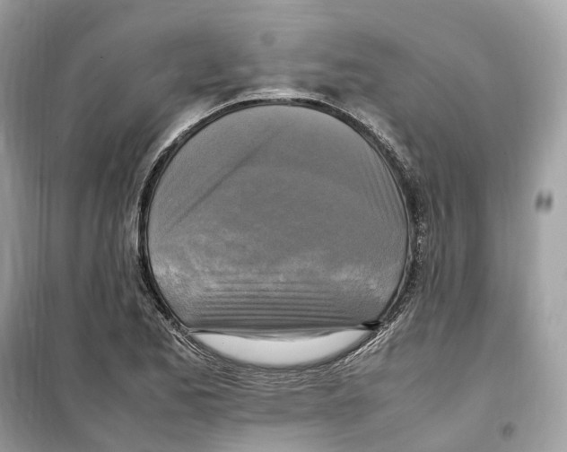 X0000099231173200805221829