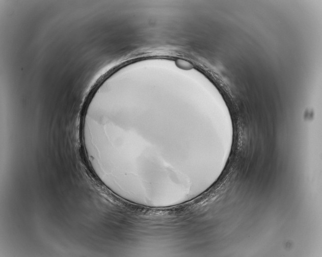 X0000099231174200805221829