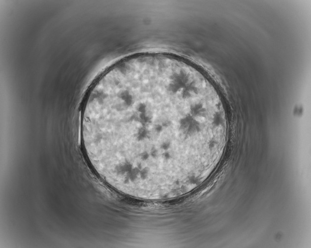 X0000099231175200805221829