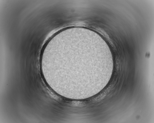 X0000099231176200805221829