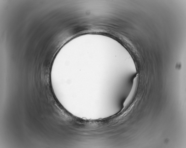 X0000099231177200805221829