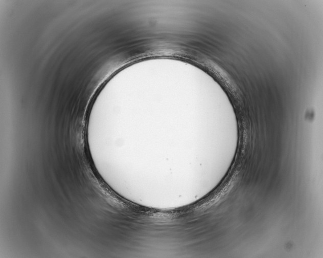 X0000099231178200805221829