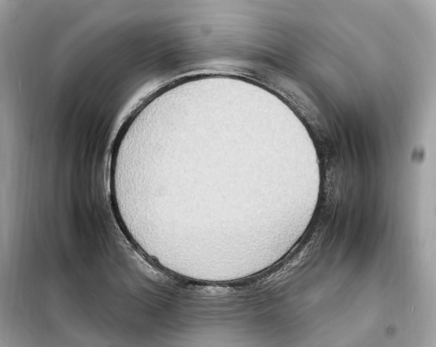 X0000099231180200805221829