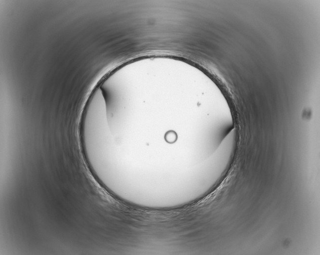 X0000099231181200805221829