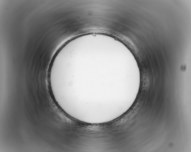 X0000099231182200805221829