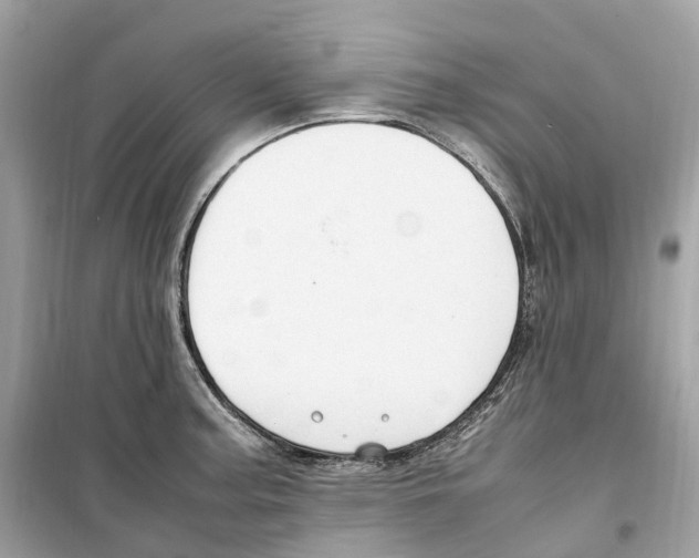 X0000099231187200805221829