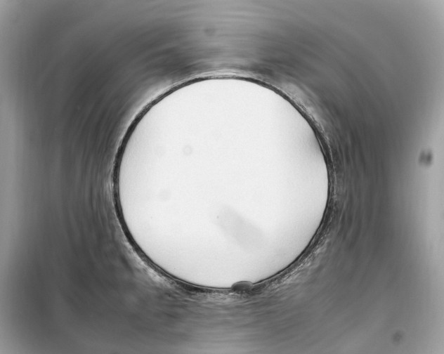 X0000099231189200805221829