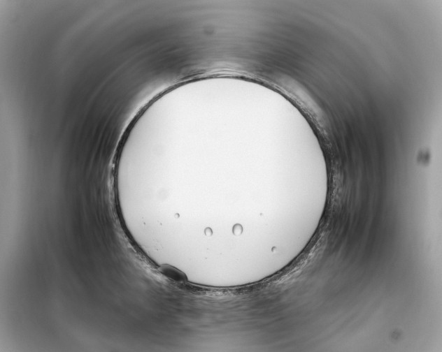 X0000099231190200805221829