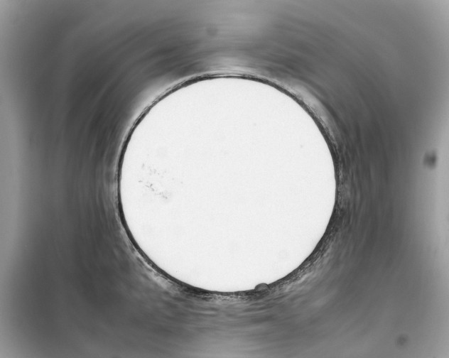 X0000099231191200805221829