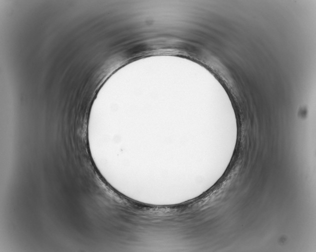 X0000099231193200805221829