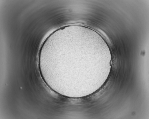 X0000099231196200805221829