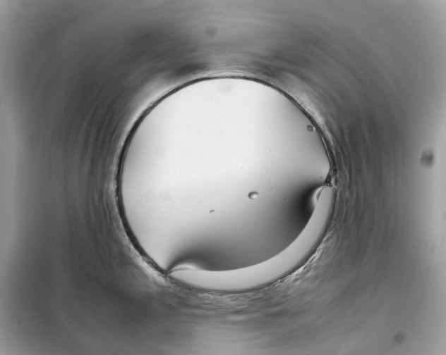 X0000099231197200805221829