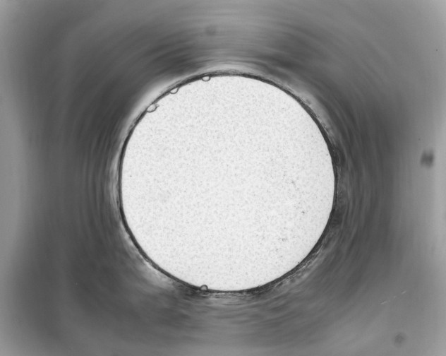 X0000099231199200805221829