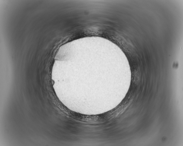 X0000099231201200805221828