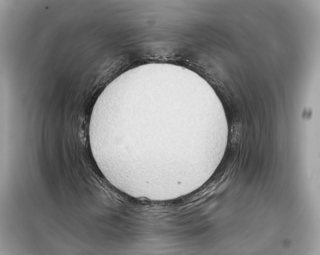 X0000099231202200805221828