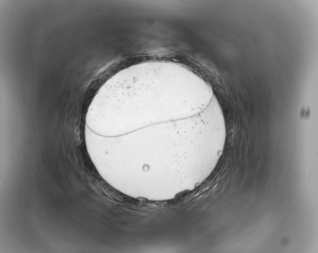 X0000099231205200805221828