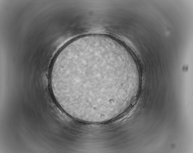 X0000099231212200805221829