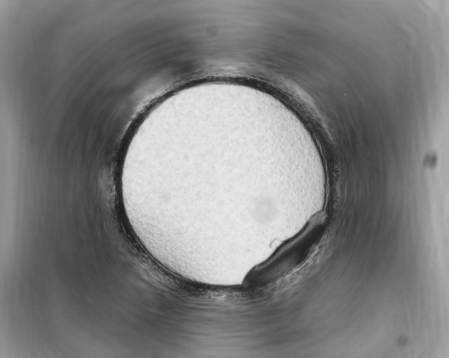 X0000099231218200805221829