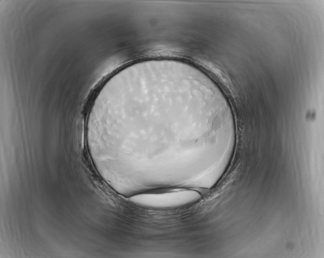 X0000099231219200805221829