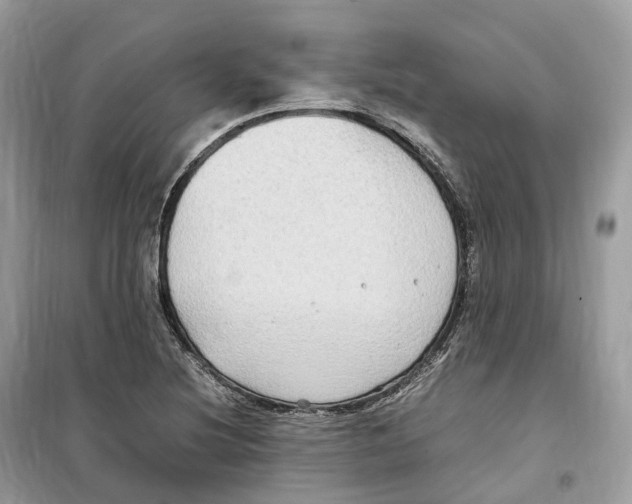 X0000099231220200805221829