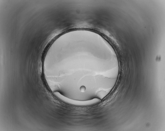 X0000099231221200805221829