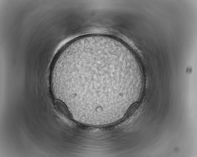 X0000099231222200805221829